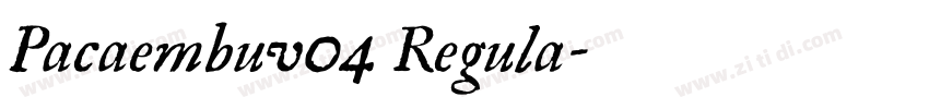 Pacaembuv04 Regula字体转换